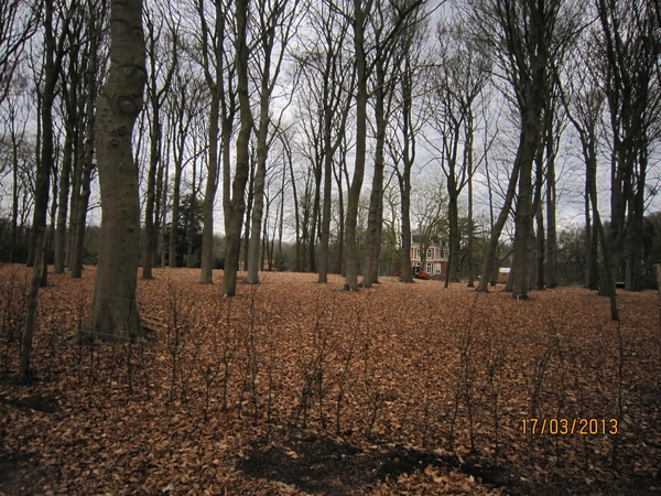 Wandelen Turnhout 17-3-2013 013
