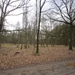 Wandelen Turnhout 17-3-2013 014