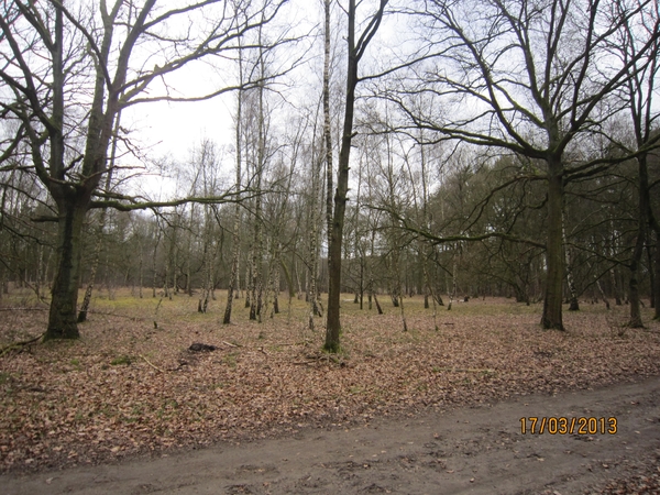 Wandelen Turnhout 17-3-2013 014