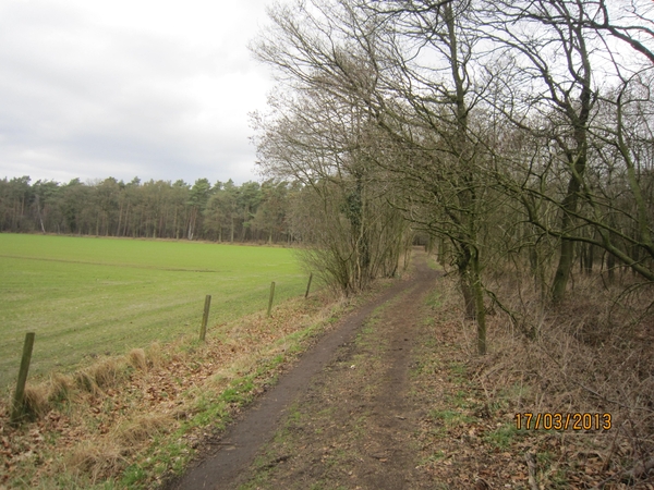 Wandelen Turnhout 17-3-2013 019