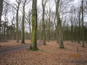 Wandelen Turnhout 17-3-2013 020
