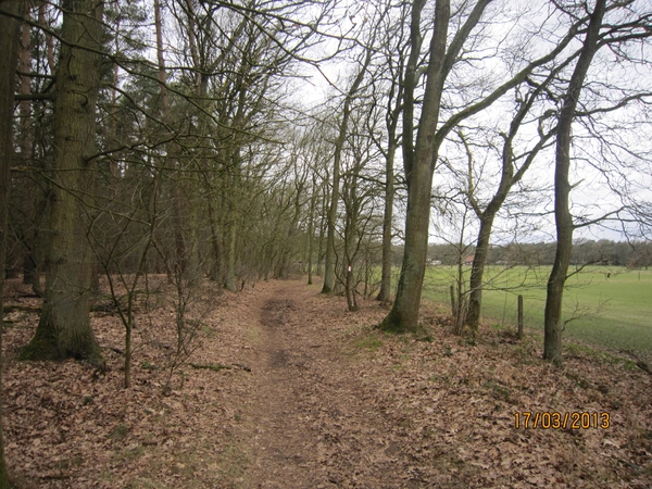 Wandelen Turnhout 17-3-2013 021