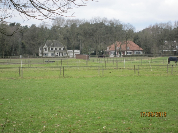 Wandelen Turnhout 17-3-2013 023