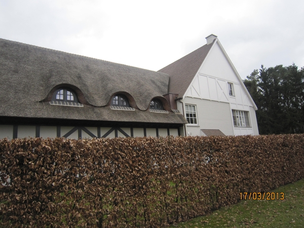 Wandelen Turnhout 17-3-2013 035