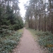 Wandelen Turnhout 17-3-2013 039