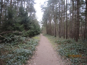 Wandelen Turnhout 17-3-2013 039