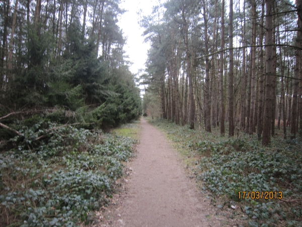 Wandelen Turnhout 17-3-2013 039