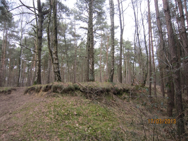 Wandelen Turnhout 17-3-2013 041