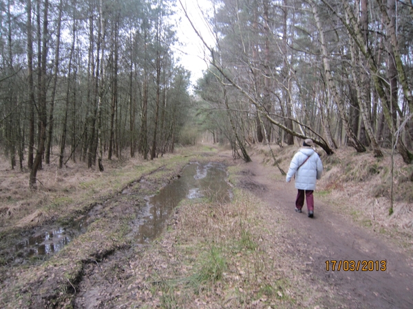 Wandelen Turnhout 17-3-2013 043
