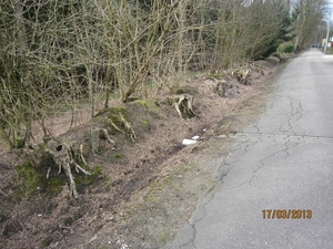 Wandelen Turnhout 17-3-2013 052