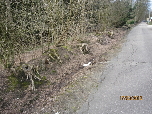 Wandelen Turnhout 17-3-2013 052