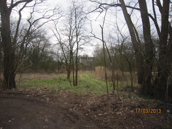 Wandelen Turnhout 17-3-2013 055