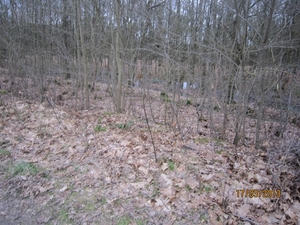 Wandelen Turnhout 17-3-2013 065