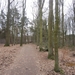 Wandelen Turnhout 17-3-2013 068