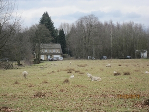 Wandelen Turnhout 17-3-2013 069