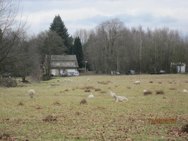 Wandelen Turnhout 17-3-2013 069