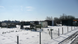 P1100313