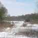 P1100317
