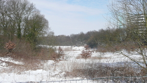 P1100317