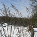 P1100328
