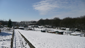 P1100331