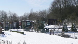P1100352
