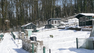 P1100353