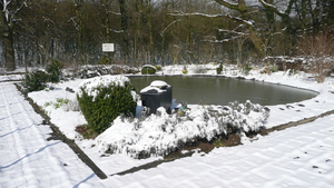 P1100354