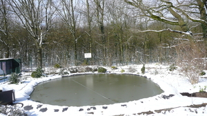 P1100355