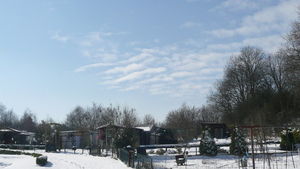 P1100359