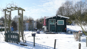 P1100361