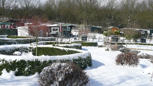 P1100369