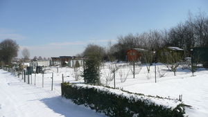 P1100374