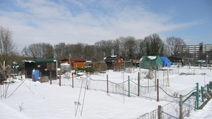 P1100375