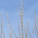 P1100378
