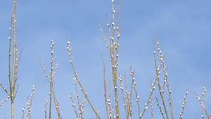 P1100378