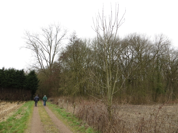 2013-03-17 Kapelle-op-den-Bos 005