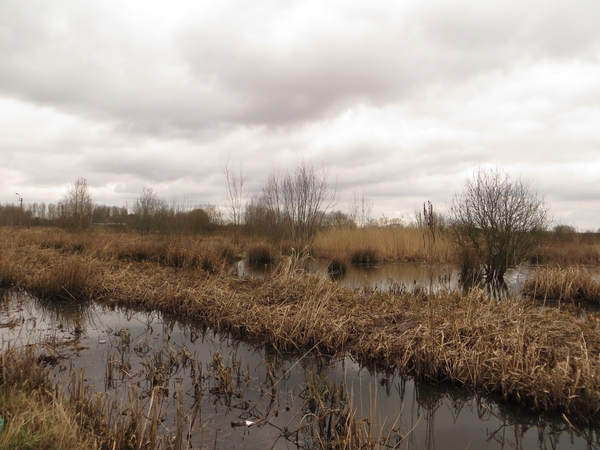 2013-03-17 Gentbrugge 010