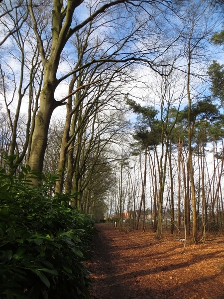 2013-03-17 Gentbrugge 016