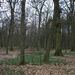 16-Bois de Logneroeul-Lesdain