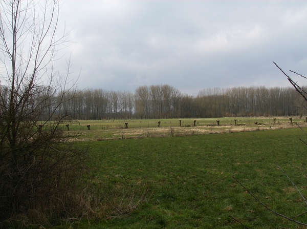 Gavere Maart 2013 011