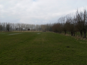 Gavere Maart 2013 013