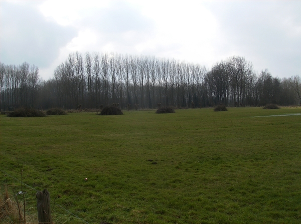 Gavere Maart 2013 014