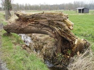 Gavere Maart 2013 017