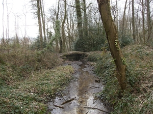 Gavere Maart 2013 023