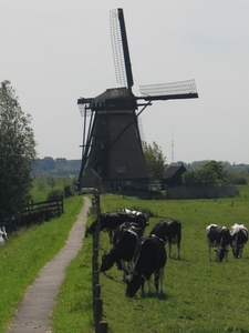 kinderdijk,nl,de lage molen.260505