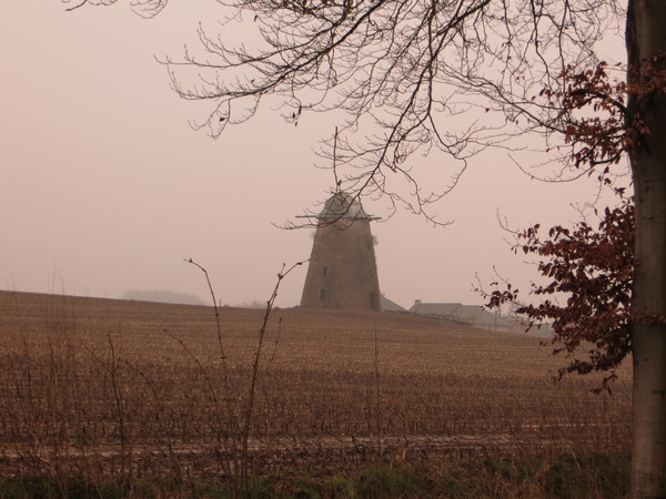 2013-03-20 Leeuwergem 005