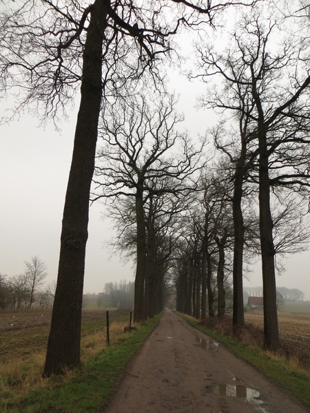 2013-03-20 Leeuwergem 015