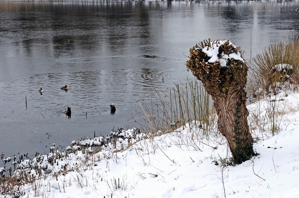 Zoete Water Oud-Heverlee