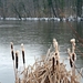 Zoete Water Oud-Heverlee